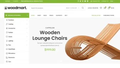 Best WordPress eCommerce Themes For Small Business